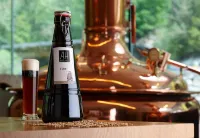 Hotel Sachsenklemme Hotels in Muhlbach