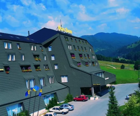 Hotel Alpina Отели в г. Jesenice