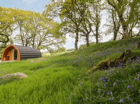 Conwy Pod Отели в г. Bro Machno