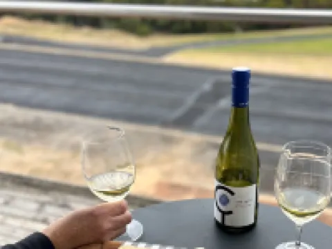 Harbour View Motel Robe otelleri