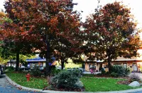 Artisan Suites on Bowen Hotels in Gibsons