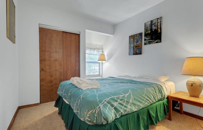 Year Round Condo- Sleeps 5! - Tamarack #17