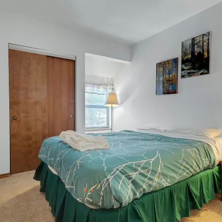 Year Round Condo- Sleeps 5! - Tamarack #17