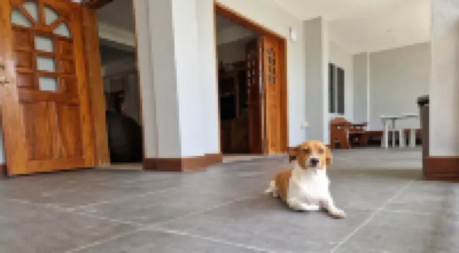 Juvy's Beach House - Entire ground floor of exclusive villa just by the beach فنادق في سیقیحور