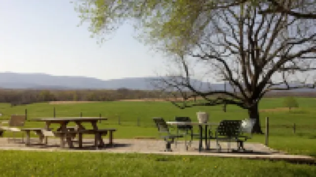 Shenandoah Valley Farm House near BR pkway & Skyline , UVA, Staunton, wineries