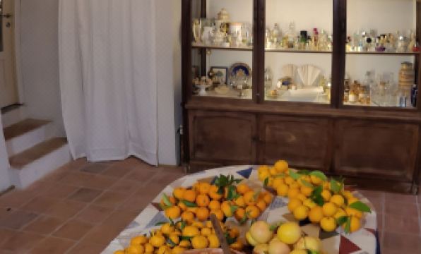 Domaine de la Cascade Parfumée