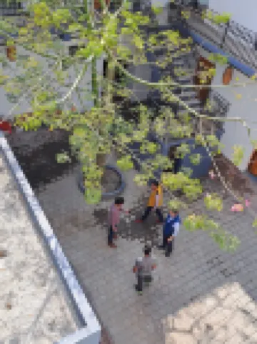 Choco Hostel Hotel a 