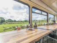 Double Decker Bus on an Alpaca Farm Sleeps 8 Hotels in Bovey Tracey
