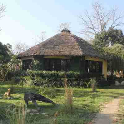 Rhino Lodge Bardia Pvt Ltd Hotel Exterior