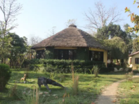 Rhino Lodge Bardia Pvt Ltd Hotels in Bardia