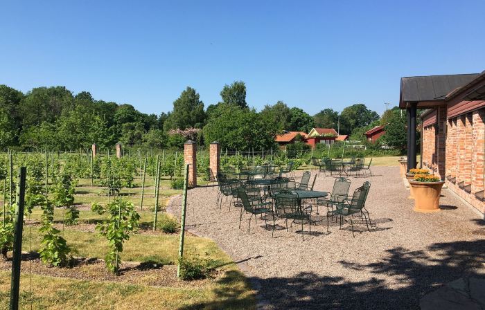 ÅMUND Vin & Fruktgård