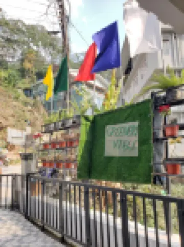 Hotel Greenery View Hotels in 