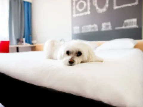 Ibis Poznan Stare Miasto Hotels in Poznan