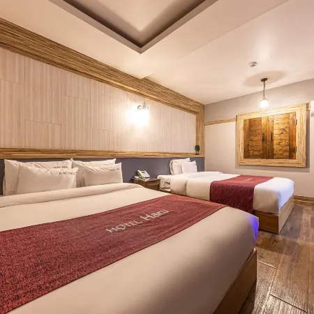 Hotel Haru