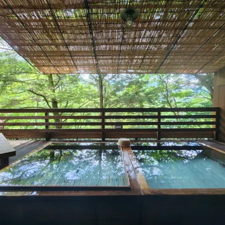 Hotel Manyotei