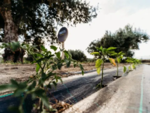 Quinta de S. Miguel 'Casa Da Chaminé Fundão otelleri