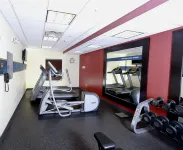 Hampton Inn & Suites Tampa-Wesley Chapel - salle de sport