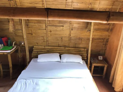 stay with comfortable hospitality and enjoy back to nature concept.