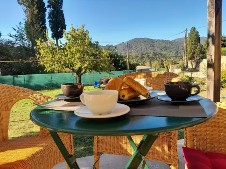 Comfortable house in quiet neighborhood 5 minutes walk from downtown