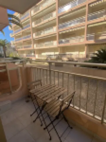 Magnificent T2 in the city center with swimming pool