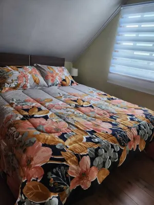 House in Puerto Varas 푸에르토바라스 주변 호텔