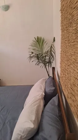 HAYA Haus your home away from home Отели в г. Кано