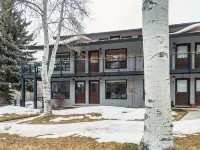 Ajax views and river patio! Newly remolded with King Murphy bed!