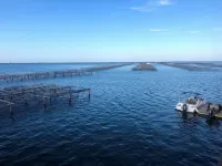 VILLA DE PRESTIGE 150 m from the sea