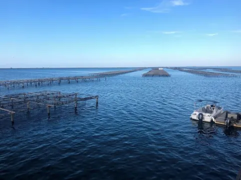 VILLA DE PRESTIGE 150 m from the sea