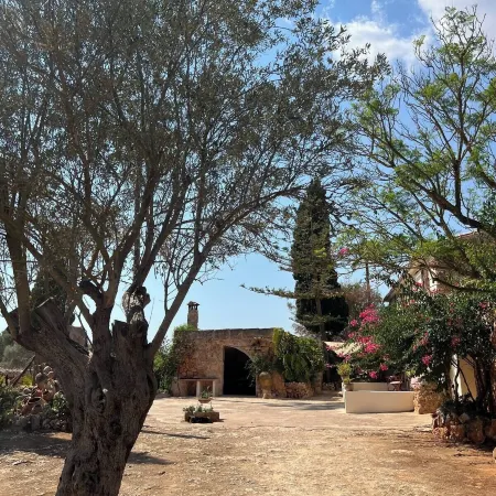 Hotel Agroturismo Finca Son Pieras
