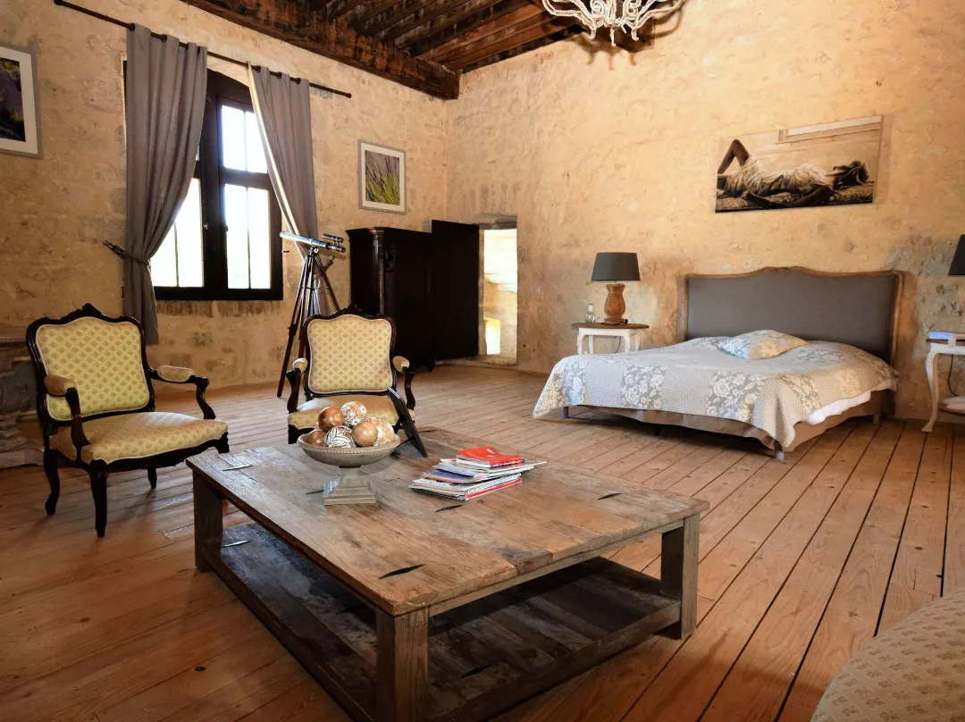 Castle Near Agen With Shared Pool - Lot-et-Garonne