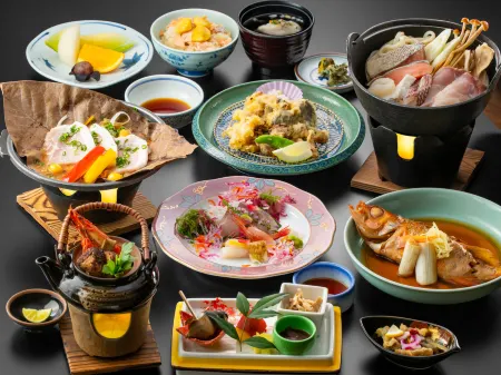 Hotel Ogawa Отели в г. Нюдзэн