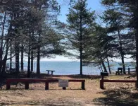 Cheerful cottage with 4 private beach accesses!!!!