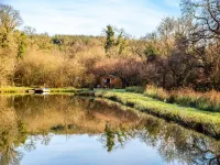 Treehouse in Germansweek near Dartmoor Trails - Homestays