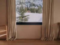 Hotel Schwarzwand - Mountain view