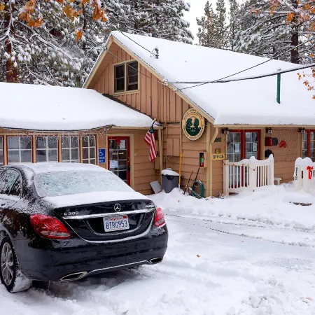 Sleepy Forest Cottages