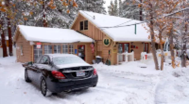 Sleepy Forest Cottages