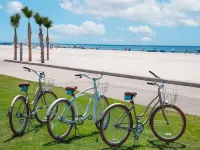 Embassy Suites by Hilton Gulf Shores Beach Resort - Beach