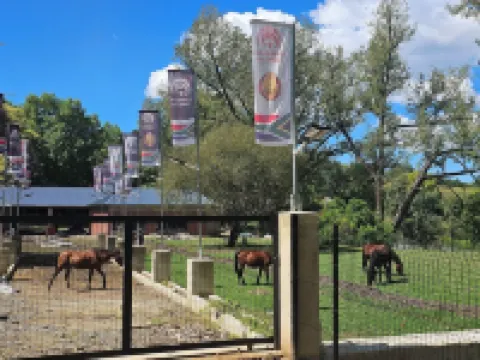 エムコシニ ロイヤル サン アンダーバーグのホテル