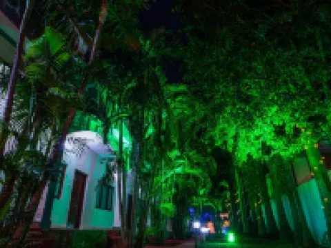 Hotel Jungle Palace Hotels in Tala