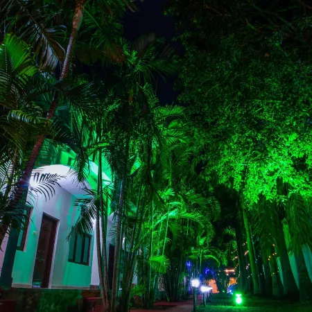 Hotel Jungle Palace
