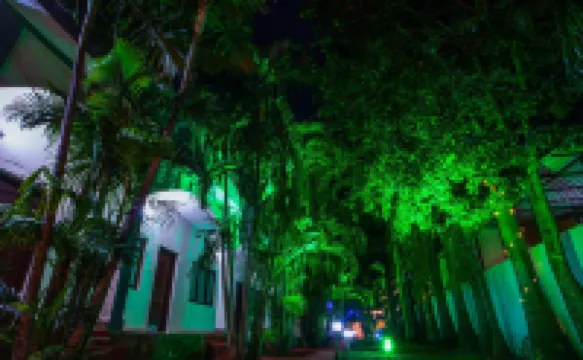 Hotel Jungle Palace