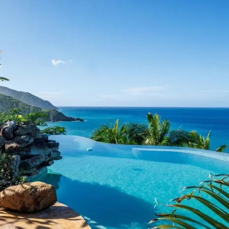 Myall Tortola