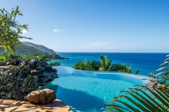Myall Tortola