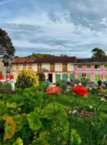 ホスタル カサ セレステ のホテル