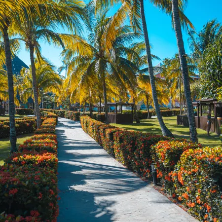 Royalton Hicacos Resort & Spa