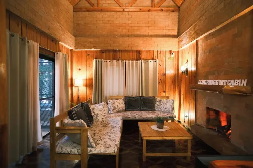 Blueridge Mountain Cabin - Holiday bungalows