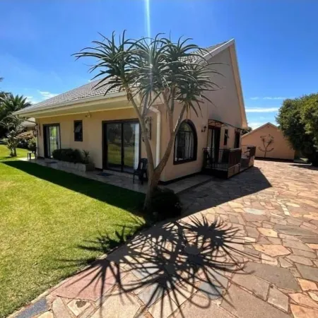 Aloe Tree