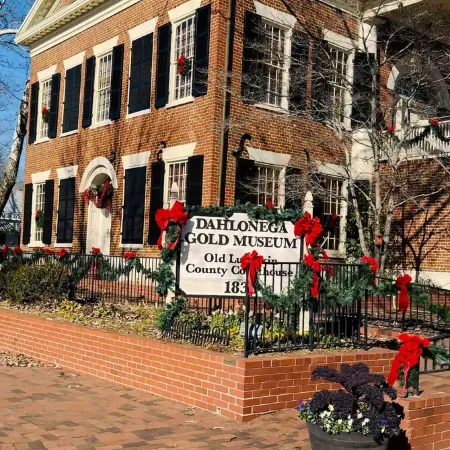 Downtown Walk to Eat/Shop/Ung-1Bd/1Bath Suite-Easy Park-Gold Museum 4 Min Walk