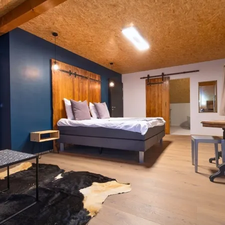La Forge de Diogne - Luxury and Cosy B&B Alpine Lodge